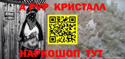 гашик Можга