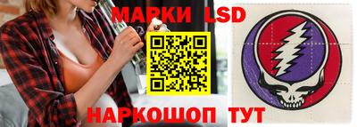гашик Можга