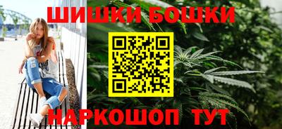 гашик Можга
