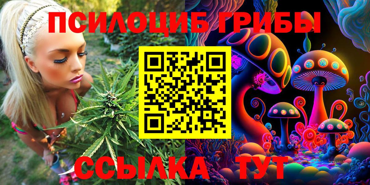 Псилоцибиновые грибы Cubensis  Вход с VPN  Богданович 
